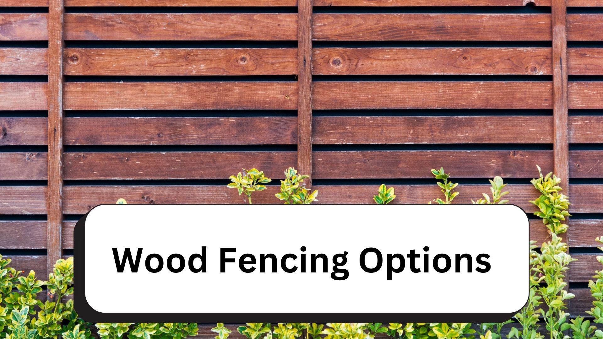 Blogs 5 Wood Fencing Options: A Classic Choice for Every Yard